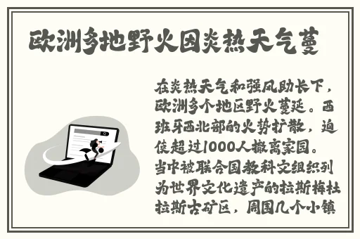 英语老师的小兔子真好吃